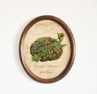 Black Futsu Pumpkin Vintage Print With Oval Pine Frame