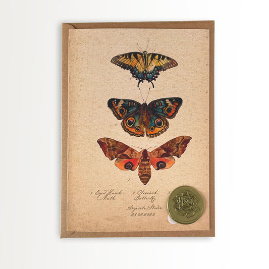 Motýlci Přání s Obálkou a Pečeti