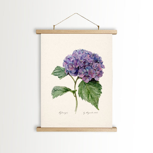 Hydrangea Vintage Canvas A4 Poster With Frame