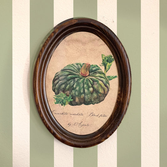 Black Futsu Pumpkin Vintage Print With Oval Pine Frame