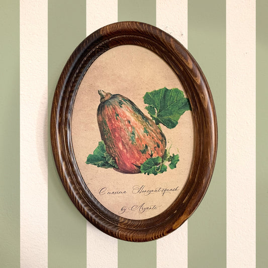 Honeynut Pumpkin Vintage Print With Oval Pine Frame