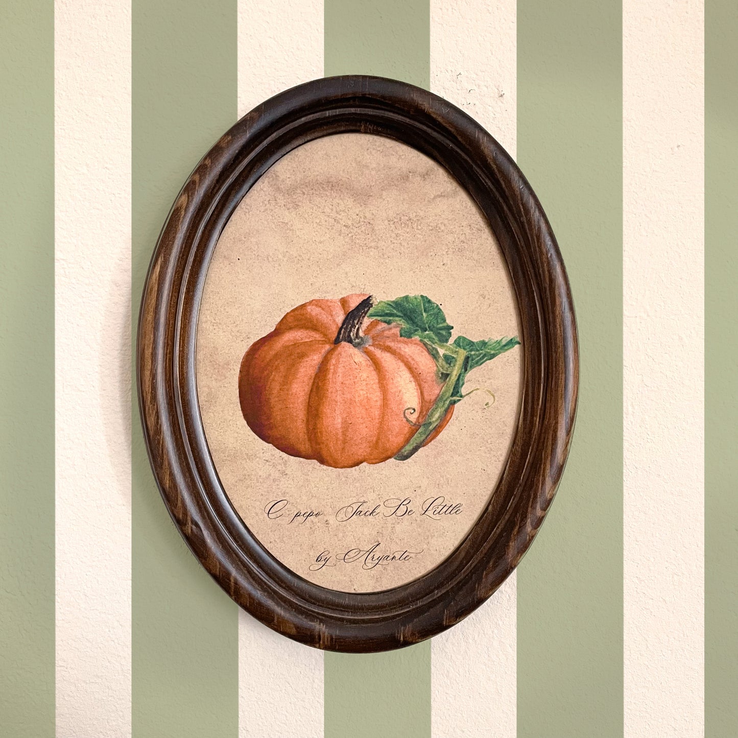 Jack Be Little Pumpkin Vintage Print With Oval Pine Frame