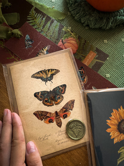 Butterflies Greeting Card + Wax Seal