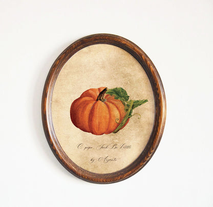 Jack Be Little Pumpkin Vintage Print With Oval Pine Frame