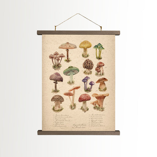 Fungi Vintage Canvas A3 Poster With Frame