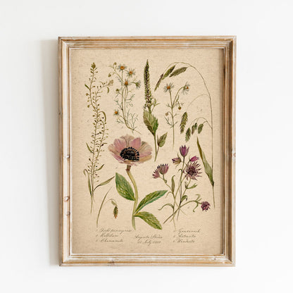 Wildflowers Vintage Poster Print