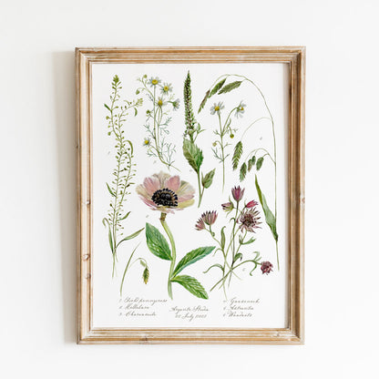 Wildflowers Vintage Poster Print