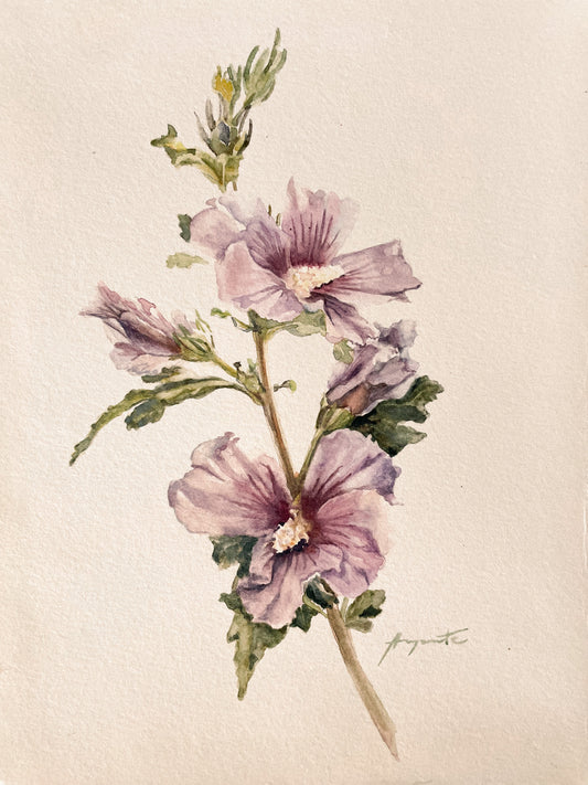 Original Painting Blush Hibiscus