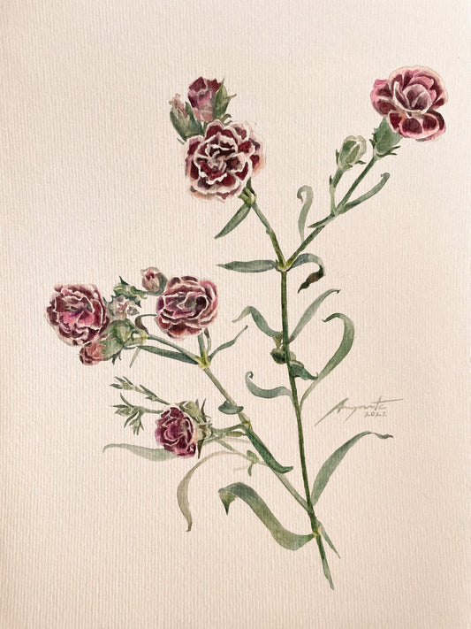 Original Painting Crimson Dianthus