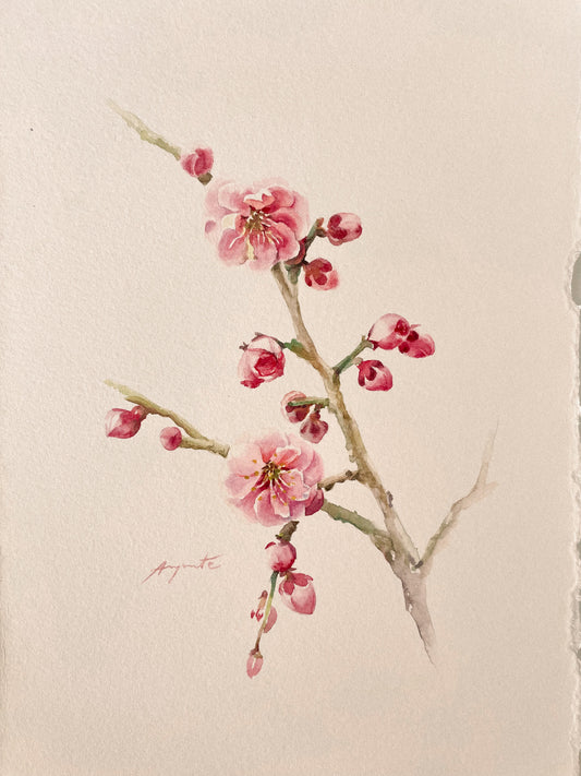 Original Painting Cherry Tree Blossom