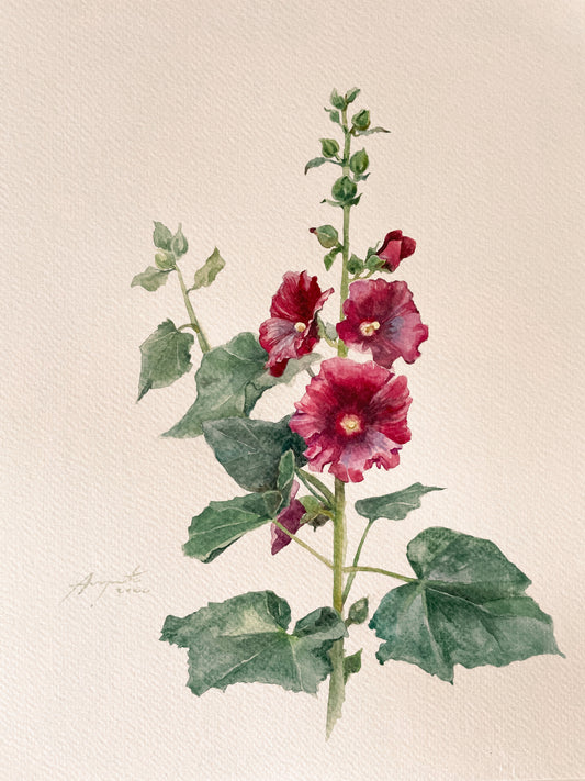 Original Painting Crimson Hollyhock