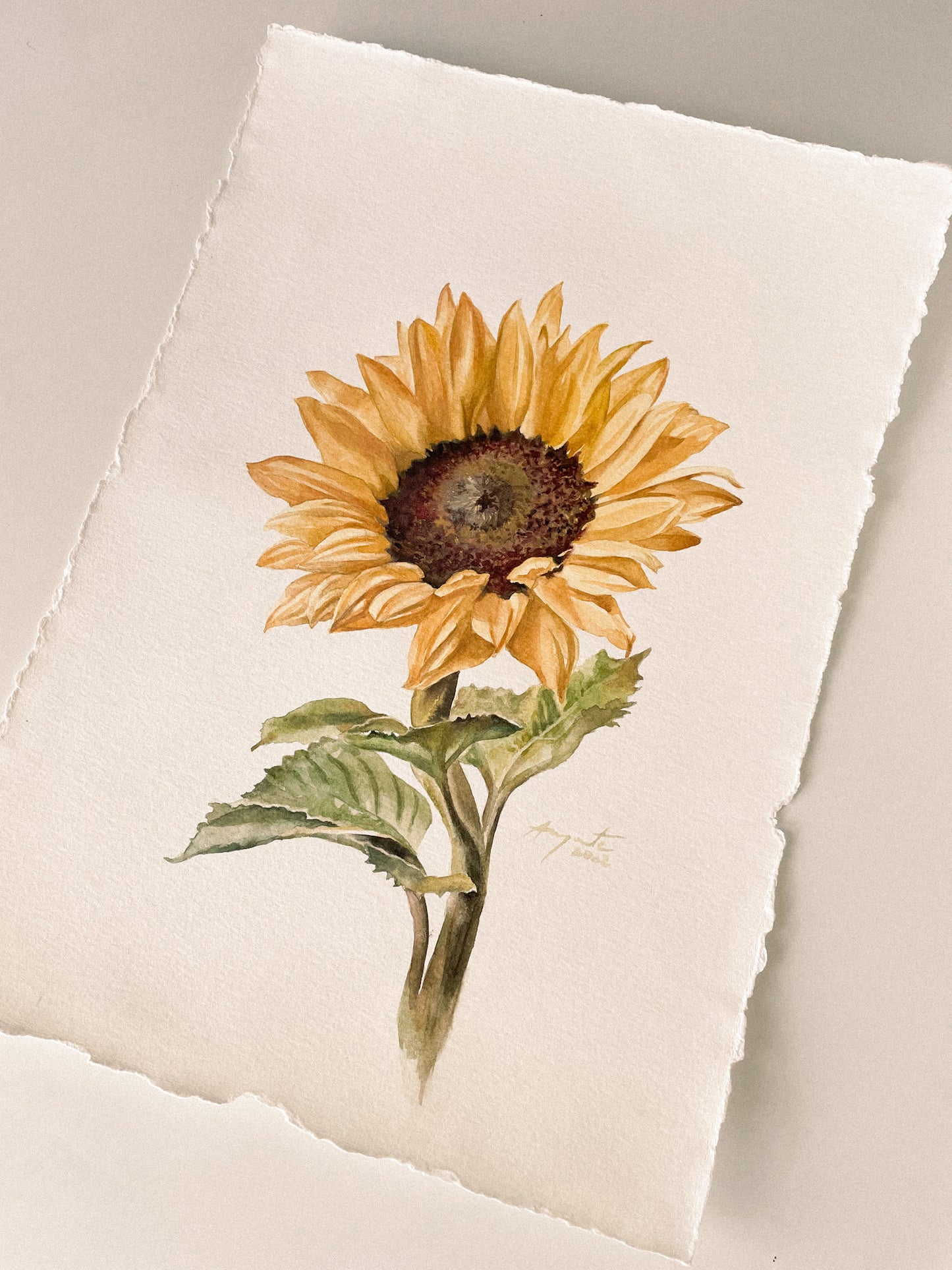 Original Painting Sunflower