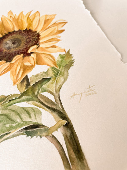Original Painting Sunflower