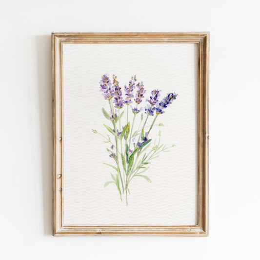 Lavender Charm Print