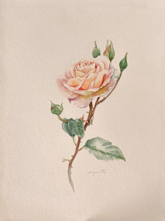 Original Painting Tea Rose Charm