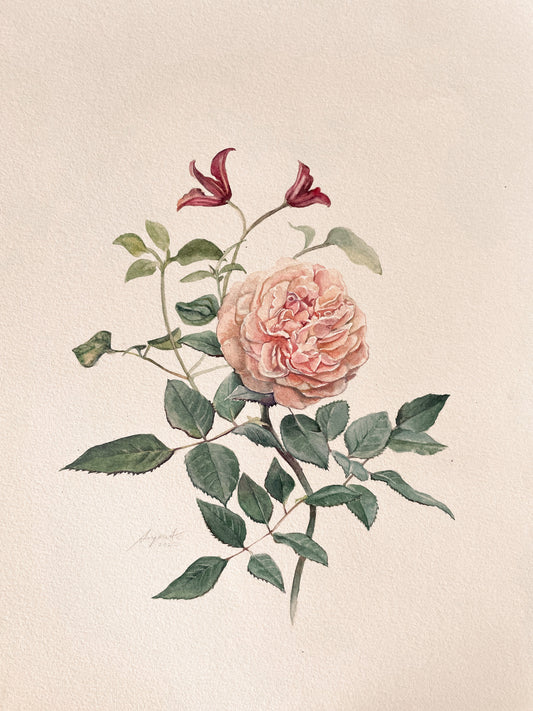 Original Painting Vintage Rose